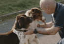 Chiens : que sont-ils capables de détecter ?