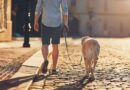 Promenez votre chien d’une nouvelle façon