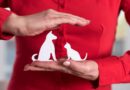 Qu’est-ce qui est couvert par une assurance pour animaux ?