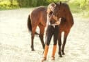 Top 3 des produits naturels pour chevaux !