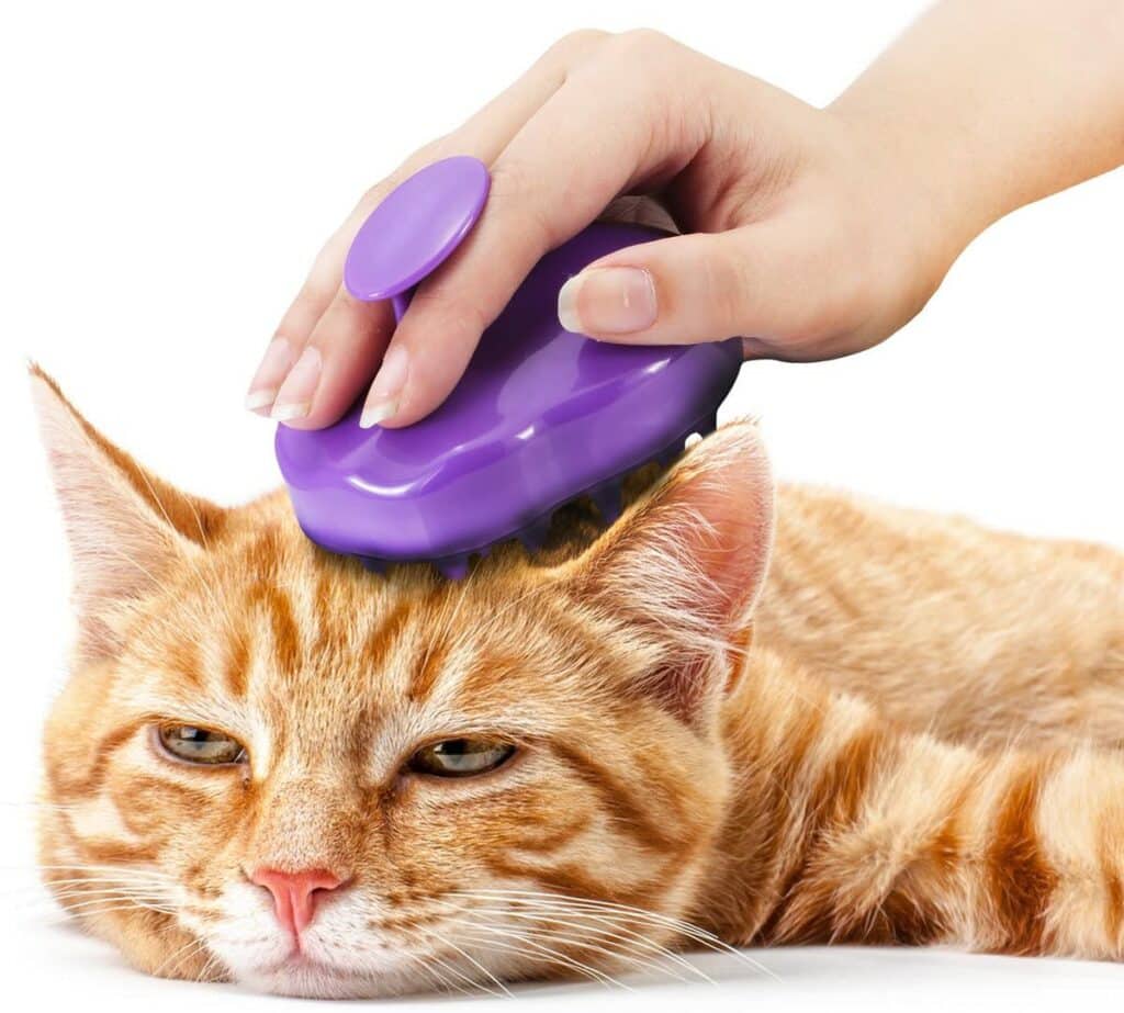 brosse toilettage chat